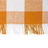 DII® Pumpkin Spice Heavyweight Check Fringed Placemat Set