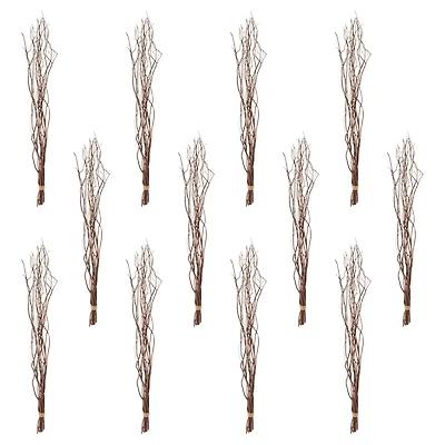 12 Pack: Natural Curly Willow by Ashland
