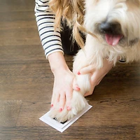 Pearhead Clean-Touch Ink Pad