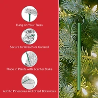 Scentsicles Scented Ornament Stick White Winter Fir, Snowberry Pine and Icicles on Spruce Sticks, 3 Pack of 6