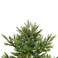 7.5ft. Pre-Lit Oregon Noble Fir Artificial Christmas Tree,  Warm White LED Lights