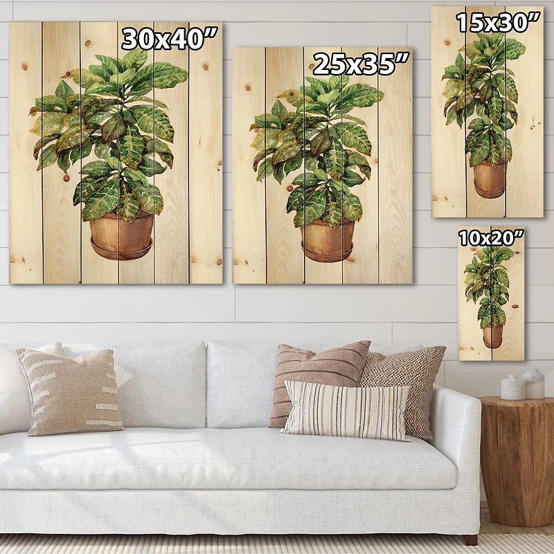 Designart - Croton In Clay Flowerpot