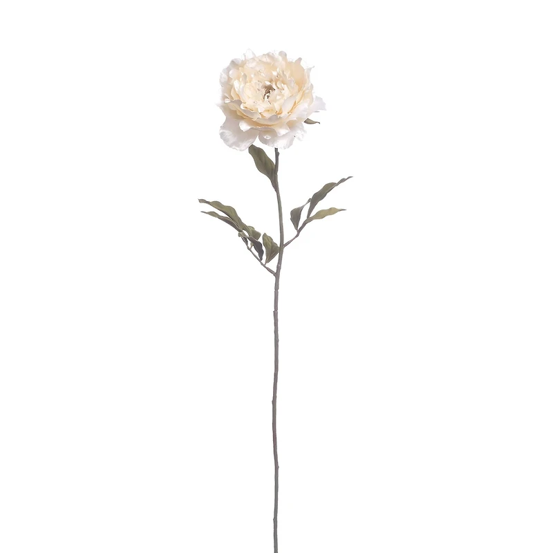 Cream Peony Stem with Pearl by Ashland®