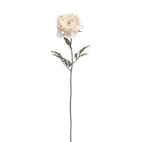 Cream Peony Stem with Pearl by Ashland®
