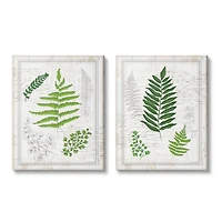 Stupell Industries Antique Fern Study with Script Forest Greenery Canvas Wall Art Set