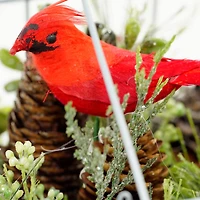 9" Red & Green Cardinal Boxwood Artificial Christmas Greenhouse Arrangement