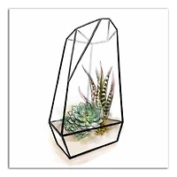 Terrarium 16" x 16" Canvas Wall Art
