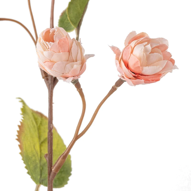 Blush Hops Stem by Ashland®