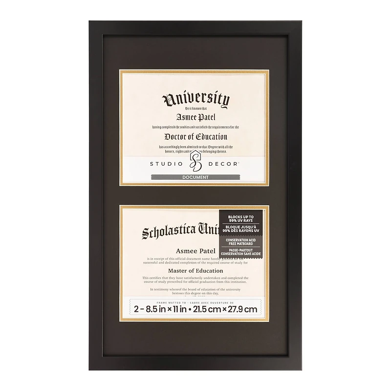 2 Opening 8.5" x 11" Black Document Frame with Double Mat by Studio Décor®