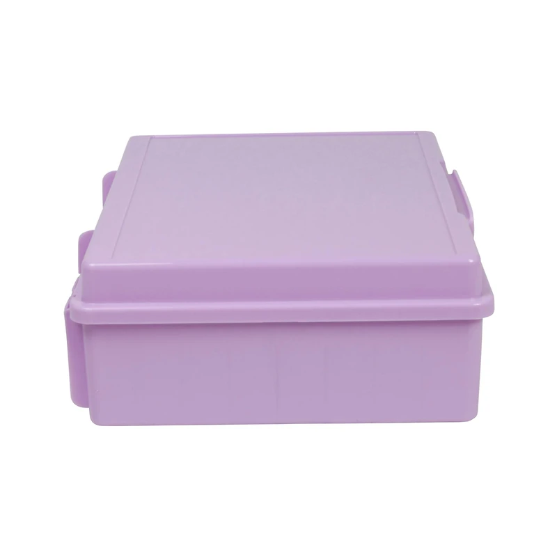Everything Mary Purple 16 Case 4" x 6" Photo Storage Box