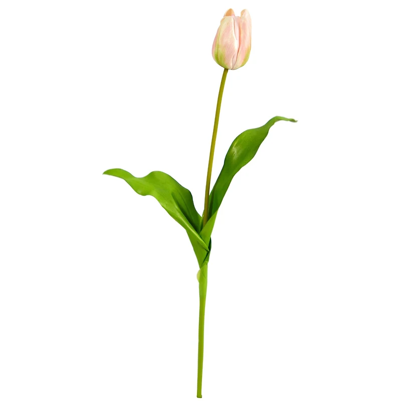 Pink & Cream Dutch Tulip Stem, 12ct.