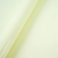 Glow in the Dark Heat Transfer Vinyl by Make Market®