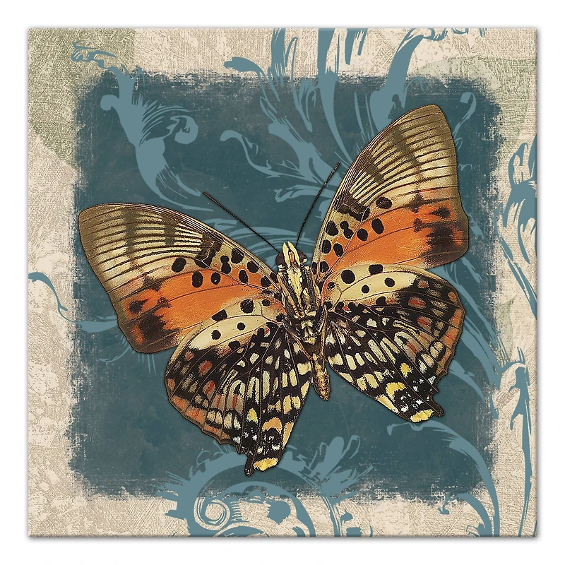 Swirls And Butterfly 20" x 20" Canvas Wall Art