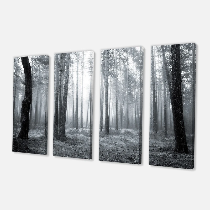 Designart - Black and White Foggy Forest