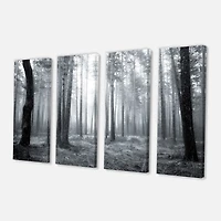 Designart - Black and White Foggy Forest