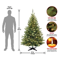 6ft. Pre-Lit Kincaid Spruce Full Artificial Christmas Tree, Clear Lights