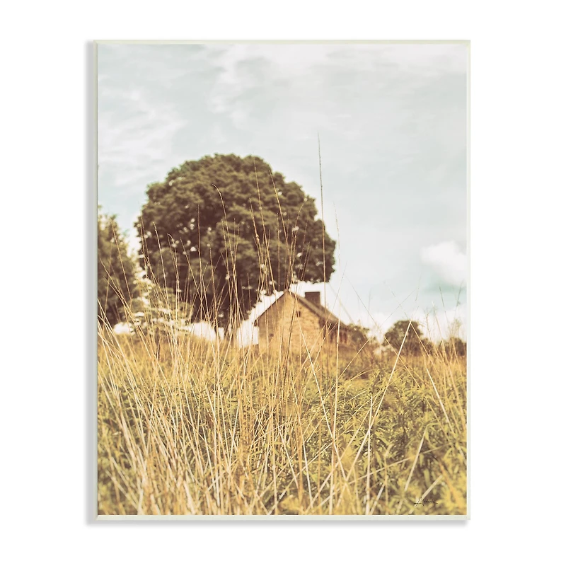 Stupell Industries Countryside Farm Meadow Tall Grass Summer Landscape Photography Wall Plaque