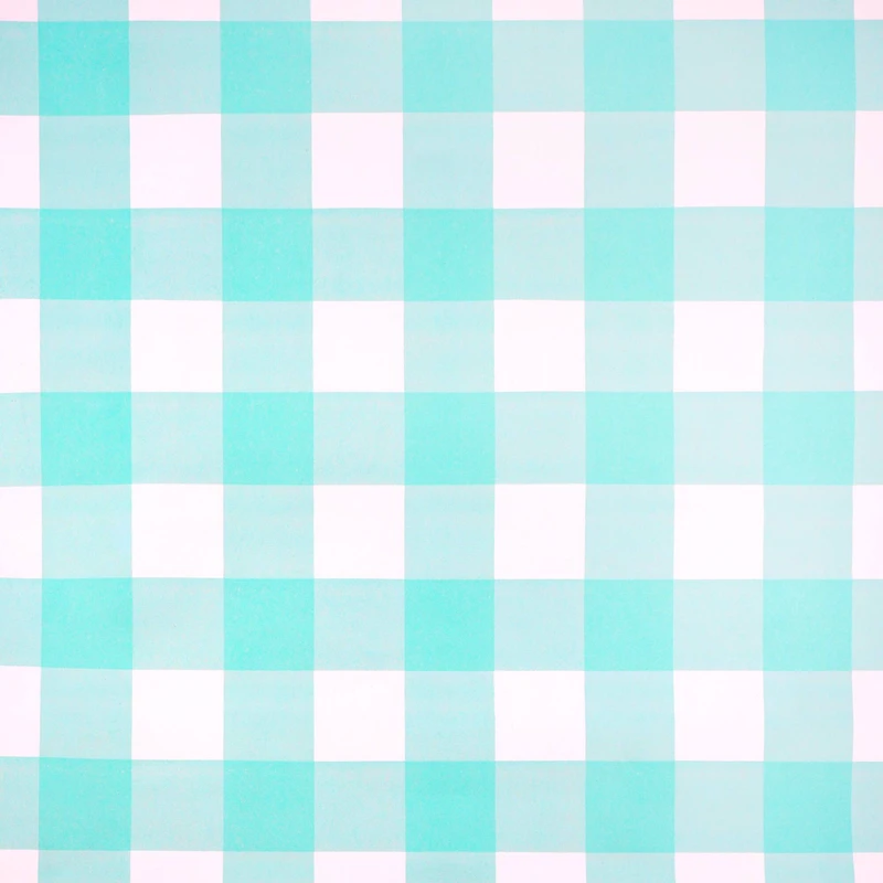 Class Rules! 48" x 12ft. Gingham Bulletin Board Paper by B2C