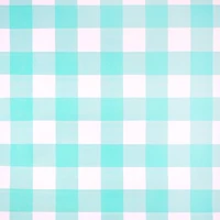 Class Rules! 48" x 12ft. Gingham Bulletin Board Paper by B2C