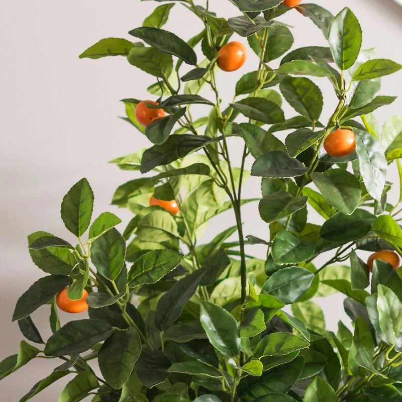 4ft. Potted Orange Tree