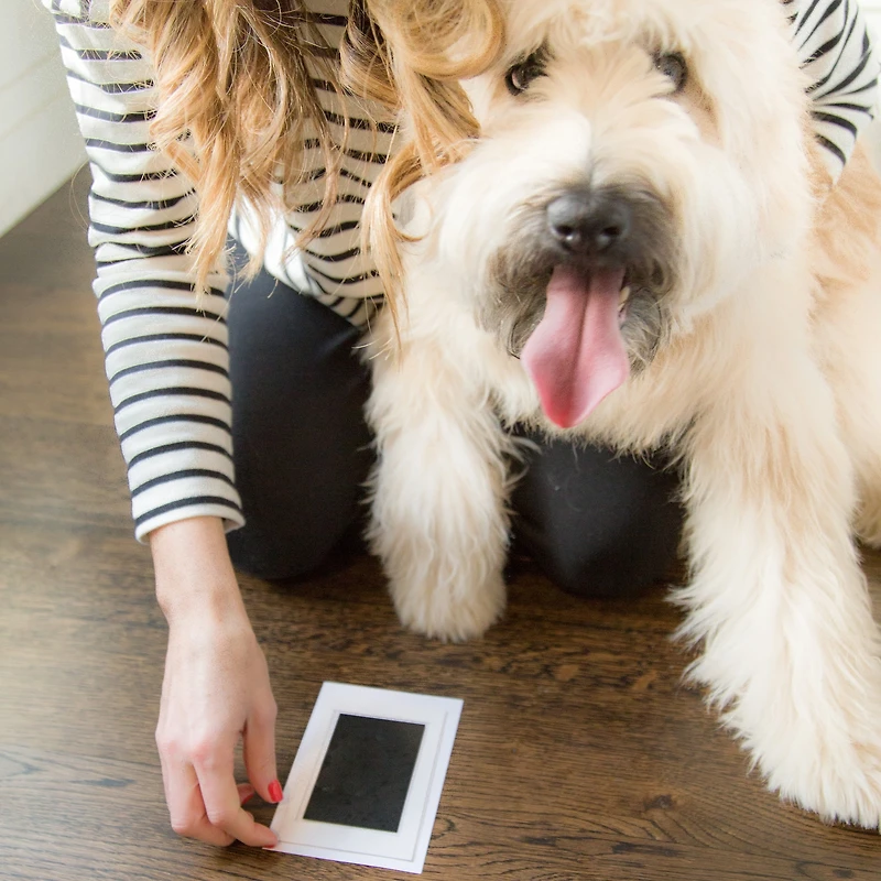 Pearhead Clean-Touch Ink Pad