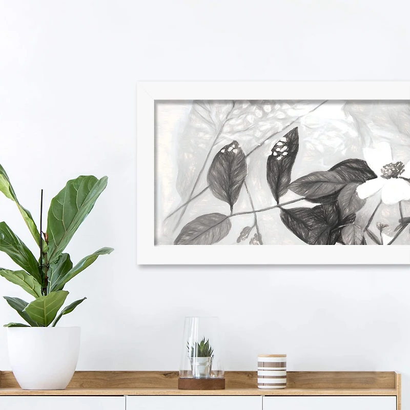 Charcoal Plants Wall Print in White Frame