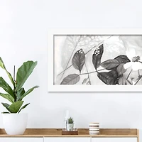 Charcoal Plants Wall Print in White Frame
