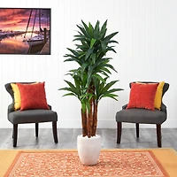 5ft. Dracaena Tree in White Planter