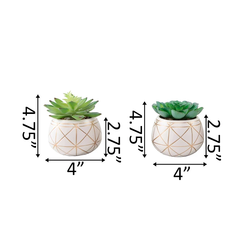 Flora Bunda® 4" Succulent in Geo Gold Round Ceramic Pot, 2ct.