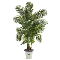 5.75ft. Areca Palm Tree in Decorative Planter