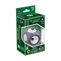 Hanayama Level 3 Cast Puzzle - Dice
