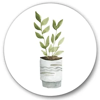 Designart - Indoor Green Home House Plants II