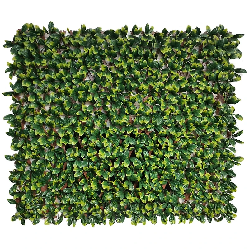 4ft. Expandable Lemon Leaf Lattice Screen