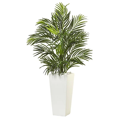 3ft. Potted Areca Palm in White Decorative Planter