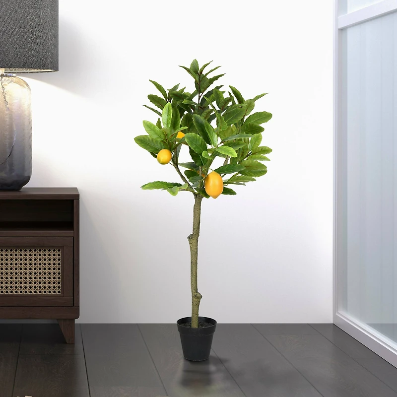 3ft. Potted Lemon Tree