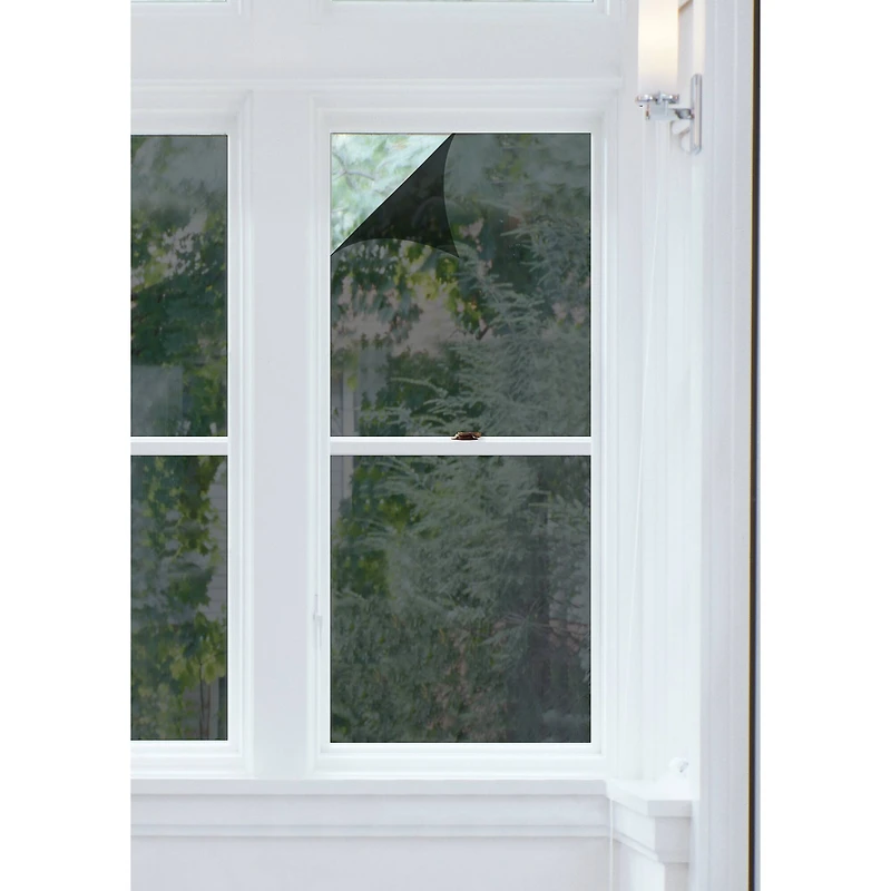 RoomMates Black Energy Film