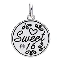 Silver Plated Sweet 16 Disc Charm by Bead Landing™
