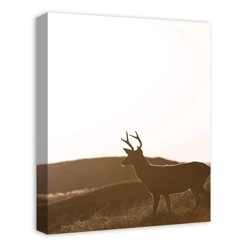 Morning Deer 16" x 20" Canvas Wall Art