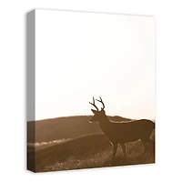 Morning Deer 16" x 20" Canvas Wall Art