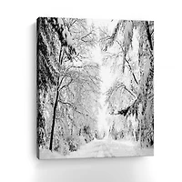 Wintery Dreams Path Canvas Giclee