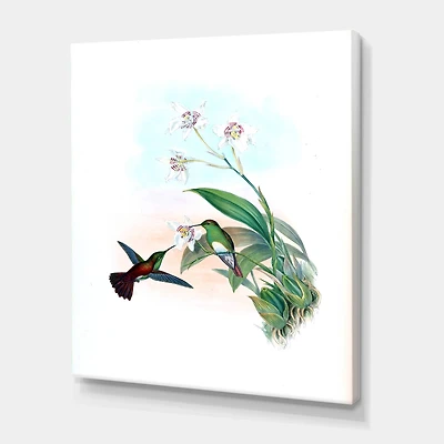 Designart - Vintage Hummingbird Flying To A Flower