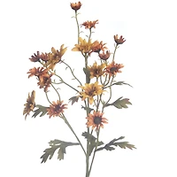 28" Yellow-Orange Wild Daisy Stem by Ashland®