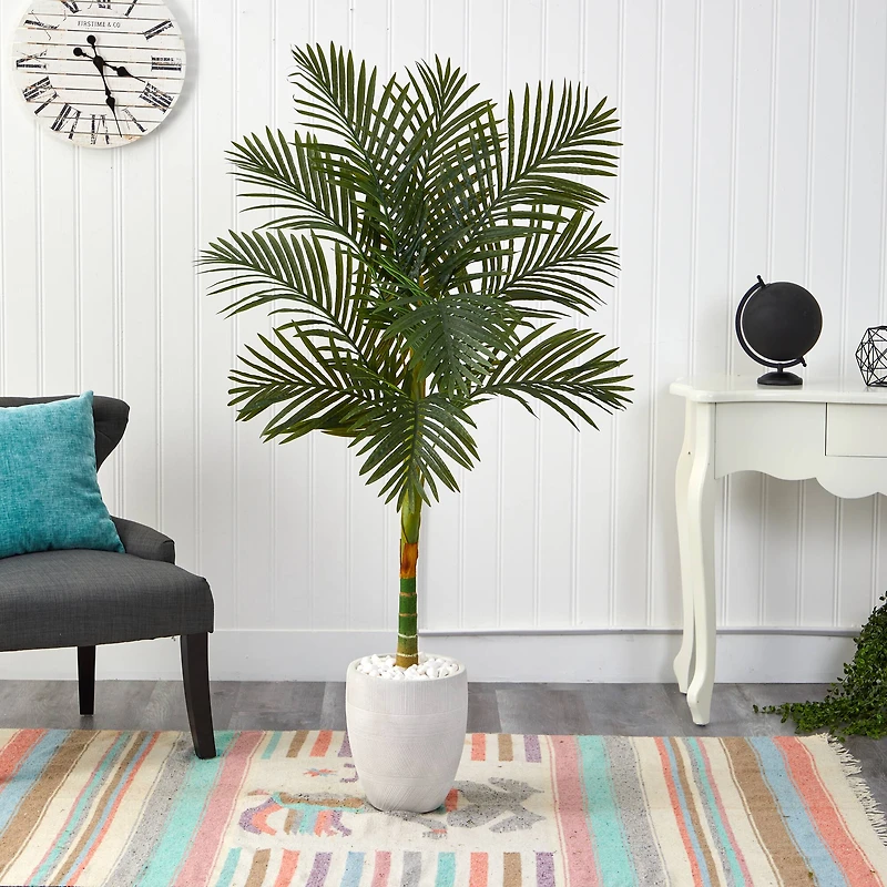 5ft. Golden Cane Palm Tree in White Planter