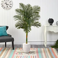 5ft. Golden Cane Palm Tree in White Planter
