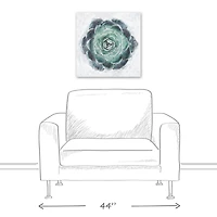 Round Succulent 20" x 20" Canvas Wall Art
