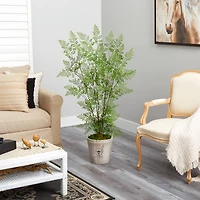 5.5ft. Ruffle Fern Artificial Tree in Farmhouse Planter