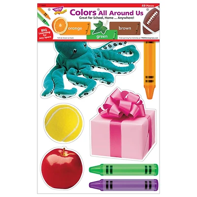 Trend Enterprises® Colors All Around Us Wipe Off Learning Set