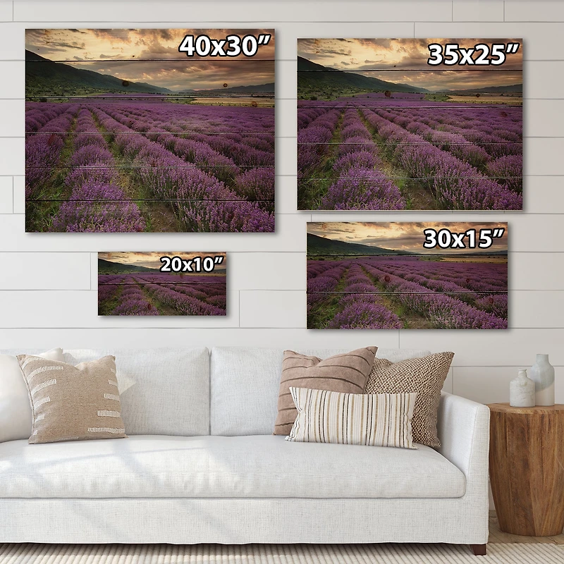 Designart - Lavender Field At Dawn I