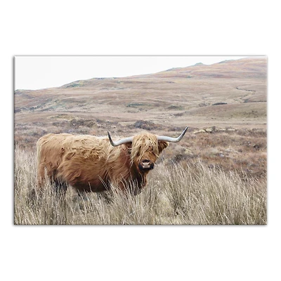 Highland Cow Landscape 24" x 16" Canvas Wall Art
