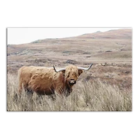 Highland Cow Landscape 24" x 16" Canvas Wall Art